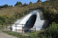 dscn5500.jpg