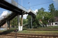 p5292105.jpg